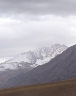 کلونچین زردکوه بختیاری سفید پوش شد